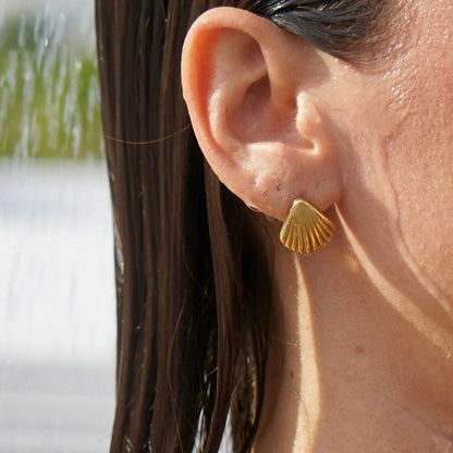 Pendientes Naia